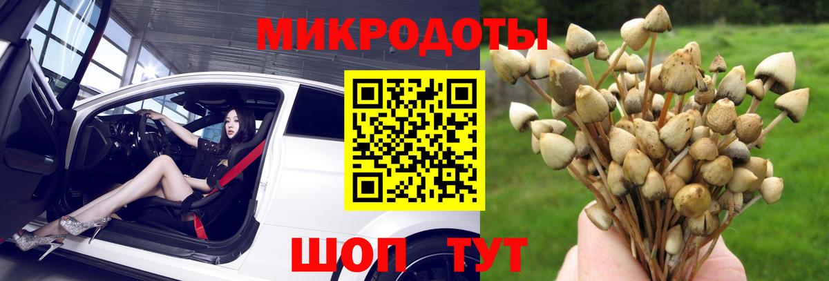 Качканар  Псилоцибиновые грибы прущие грибы  Псилоцибиновые грибы Psilocybe  Вход с VPN 