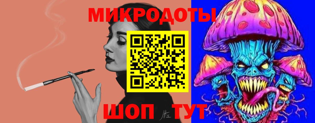 Галлюциногенные грибы Psilocybine cubensis Качканар